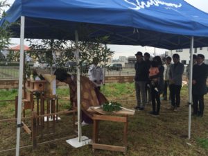 写真 2016-04-05 10 35 19